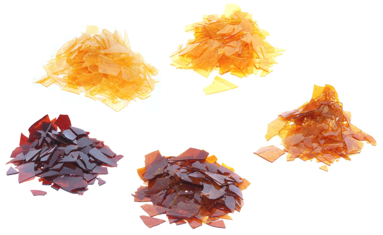 Welcome To SHREEMONI EXPORTS