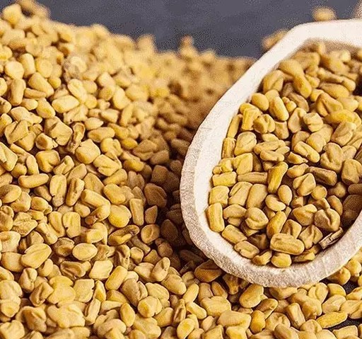 Fenugreek Seed