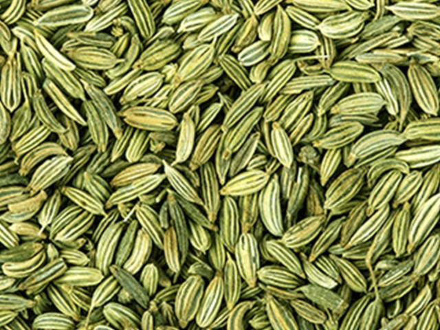 Fennel Seeds 