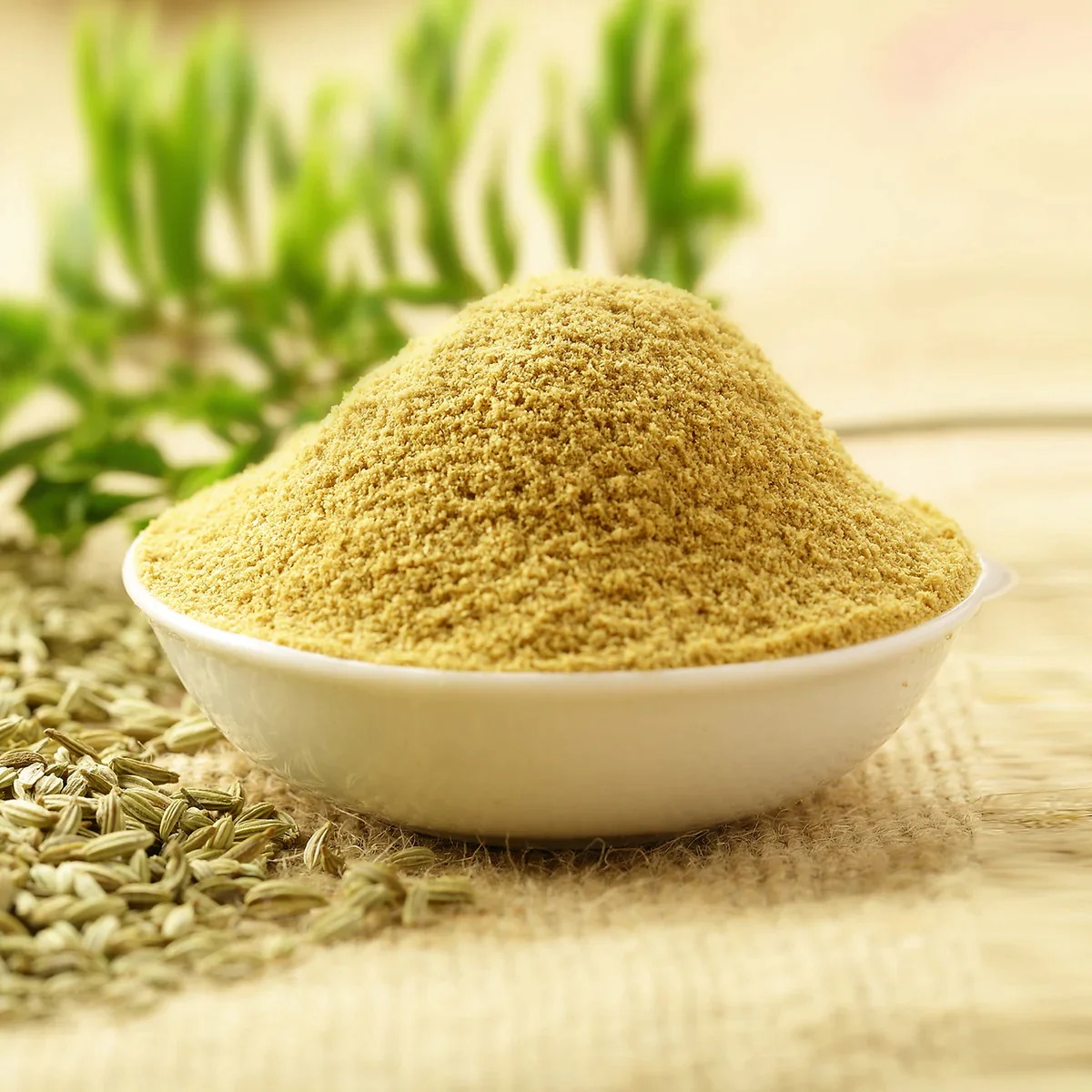 Fennel Seed Extract Powder