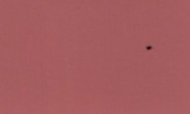 Red Oxide 3097 